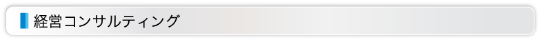 経営コンサルティング